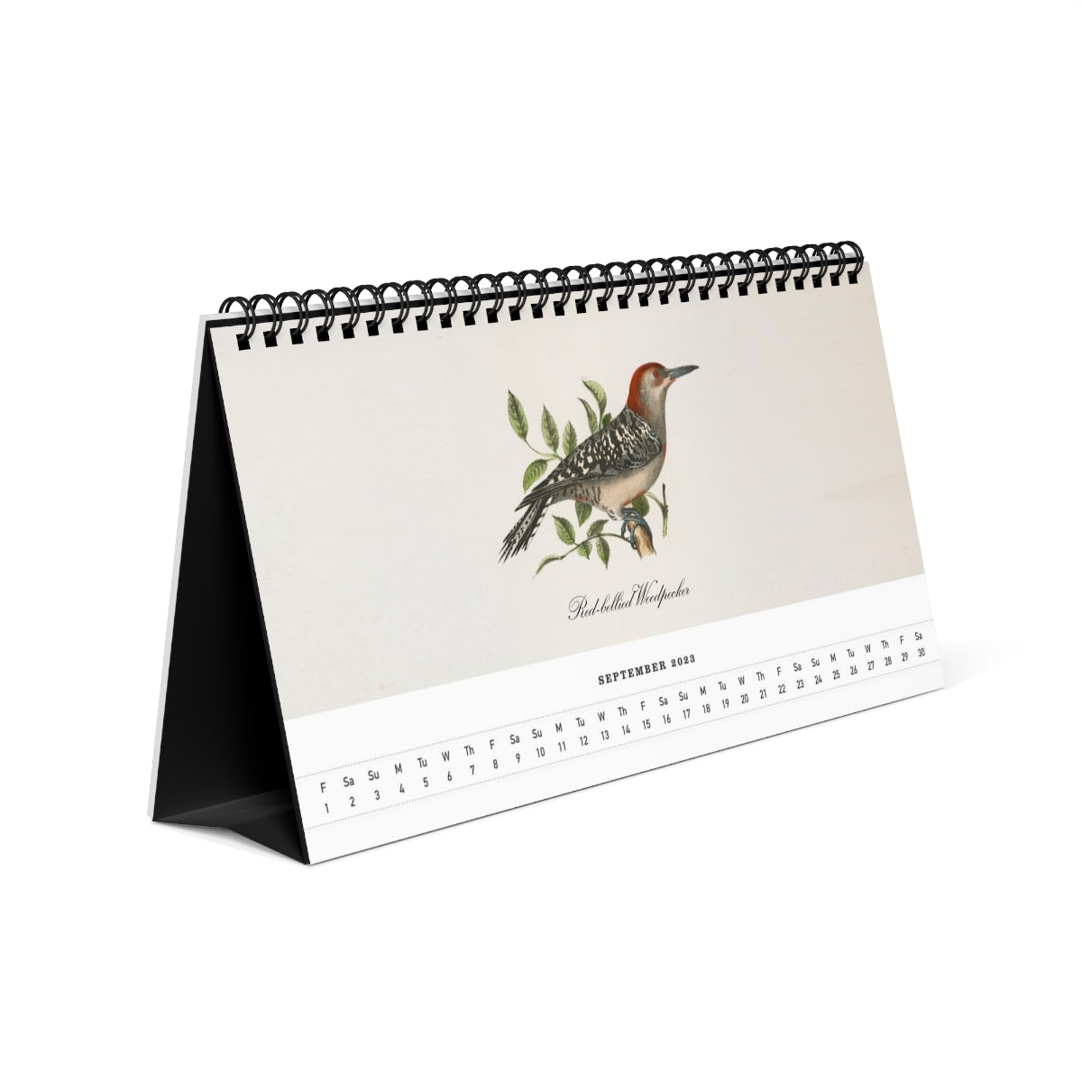 Avian Splendor 2023 Desk Calendar