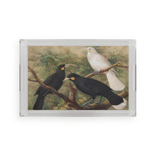 Load image into Gallery viewer, Three Huia Avian Splendor Acrylic Tray
