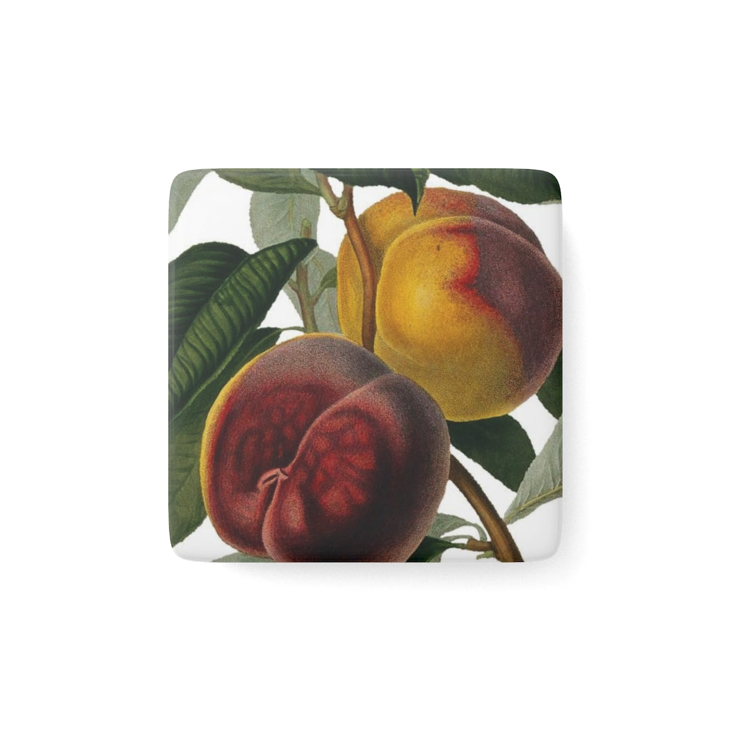 American Peach Verdant Porcelain Square Magnet