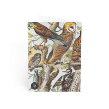 Load image into Gallery viewer, Classe des Oiseaux Avian Splendor Blank Greeting Card
