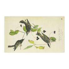 Load image into Gallery viewer, Black-poll Wood Warbler Avian Splendor Kitchen Towel
