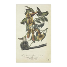 Load image into Gallery viewer, Ruby-throated Hummingbird Avian Splendor Kitchen Towel

