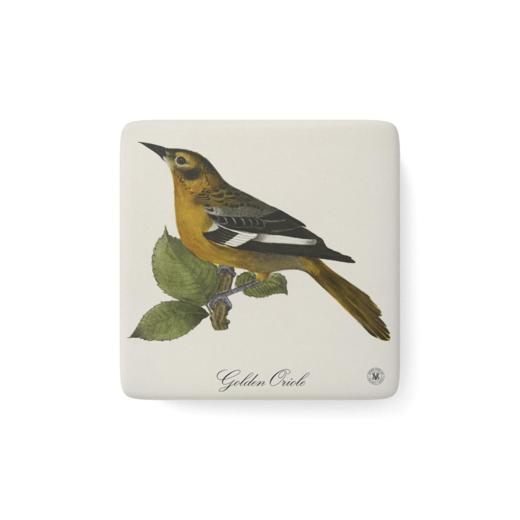 Golden Oriole Avian Splendor Porcelain Square Magnet