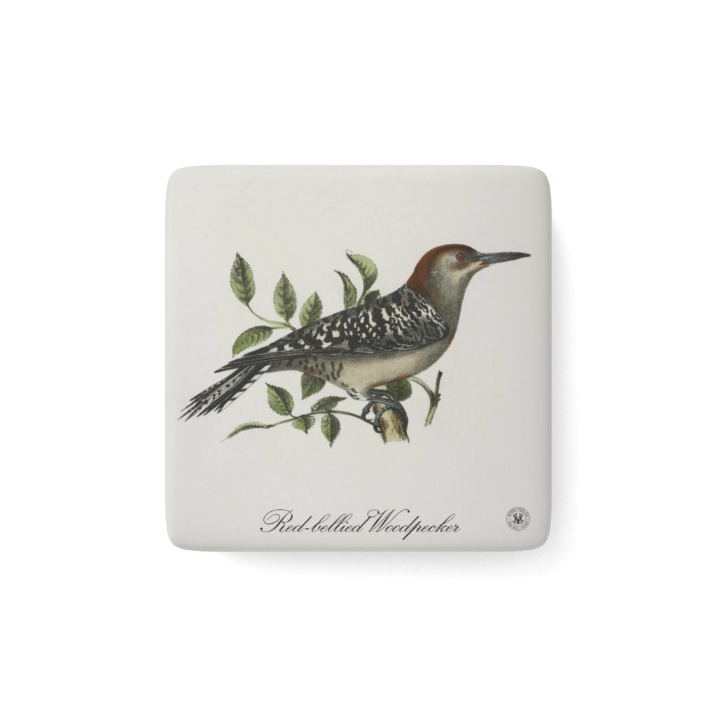 Red-bellied Woodpecker Avian Splendor Porcelain Square Magnet