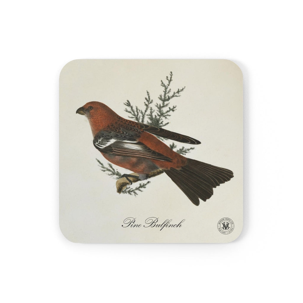 Pine Bulfinch Avian Splendor Cork Back Coaster