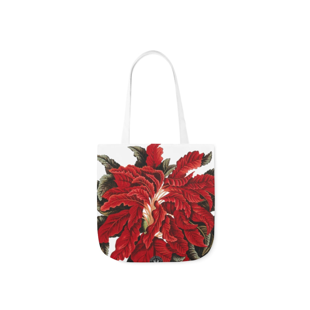 Amarantus Tricolor Verdant Canvas Tote Bag