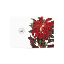 Load image into Gallery viewer, Amarantus Tricolor Verdant Blank Greeting Card
