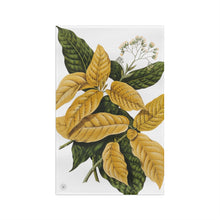Load image into Gallery viewer, Pisonia Verdant Kitchen Towel
