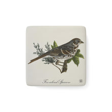 Load image into Gallery viewer, Fox-colored Sparrow Avian Splendor Porcelain Square Magnet
