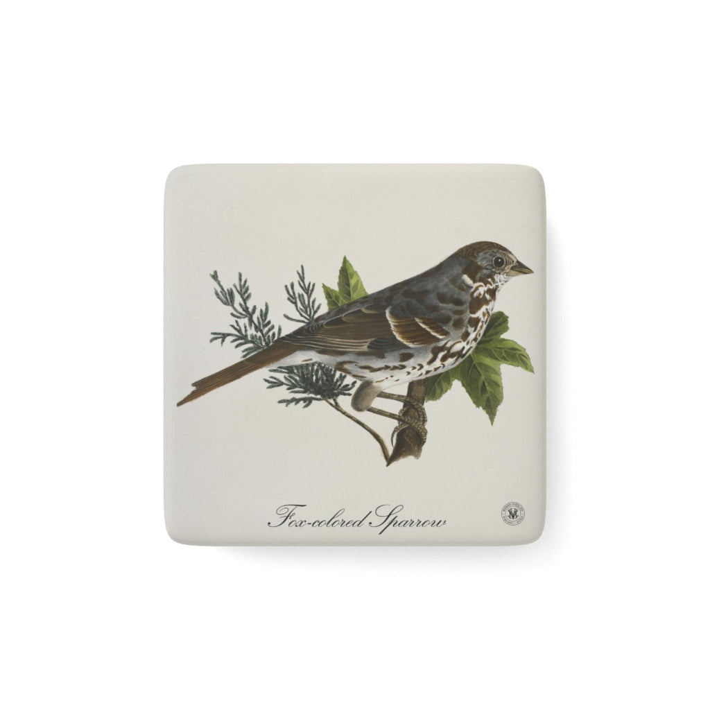 Fox-colored Sparrow Avian Splendor Porcelain Square Magnet