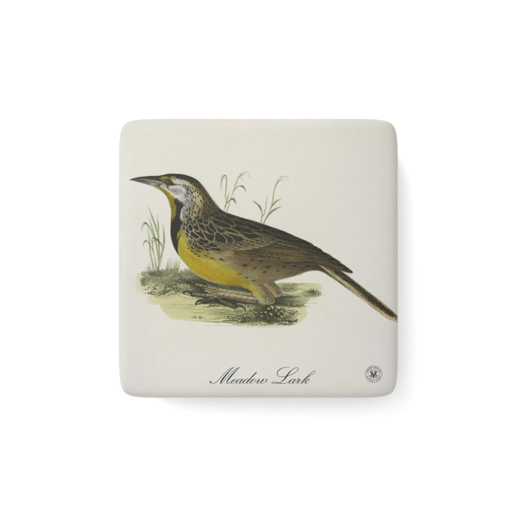 Meadow Lark Avian Splendor Porcelain Square Magnet
