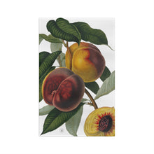 Load image into Gallery viewer, American Peach Verdant Kitchen Towel
