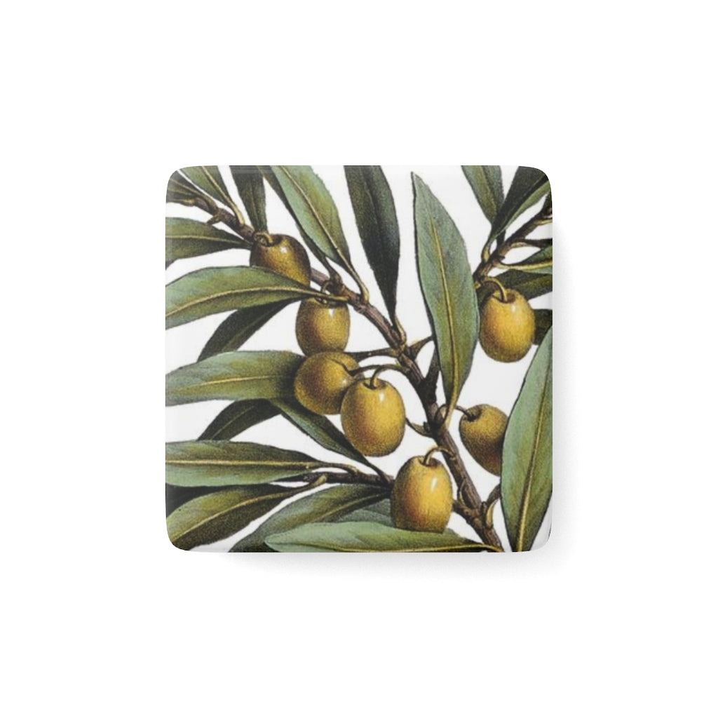 Olive Branch Verdant Porcelain Square Magnet