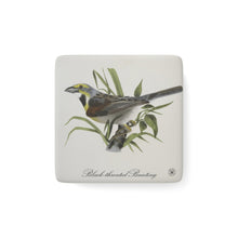 Load image into Gallery viewer, Black-throated Bunting Avian Splendor Porcelain Square Magnet
