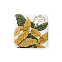 Load image into Gallery viewer, Pisonia Verdant Porcelain Square Magnet
