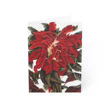 Load image into Gallery viewer, Amarantus Tricolor Verdant Blank Greeting Card

