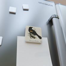 Load image into Gallery viewer, Red-winged Blackbird Avian Splendor Porcelain Square Magnet
