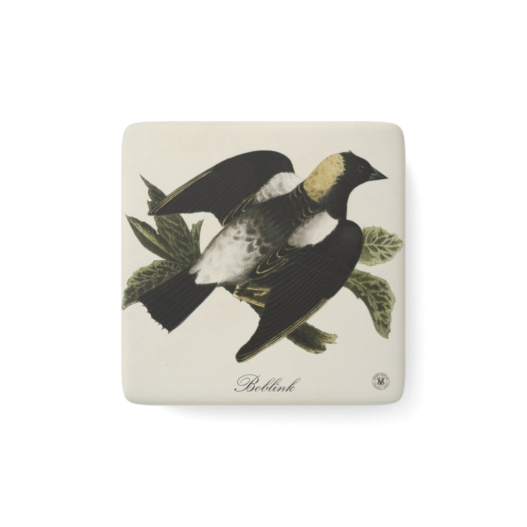 Boblink Avian Splendor Porcelain Square Magnet
