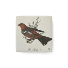 Load image into Gallery viewer, Pine Bulfinch Avian Splendor Porcelain Square Magnet
