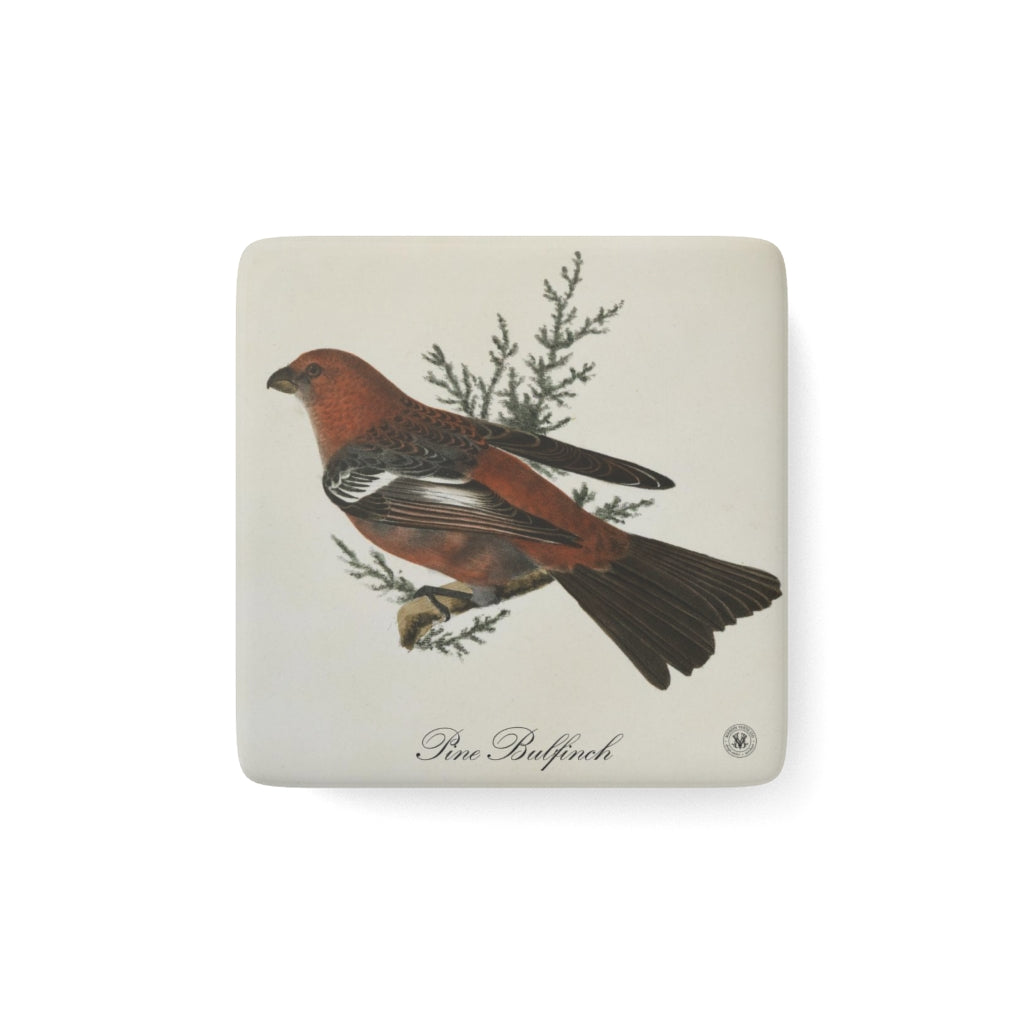 Pine Bulfinch Avian Splendor Porcelain Square Magnet