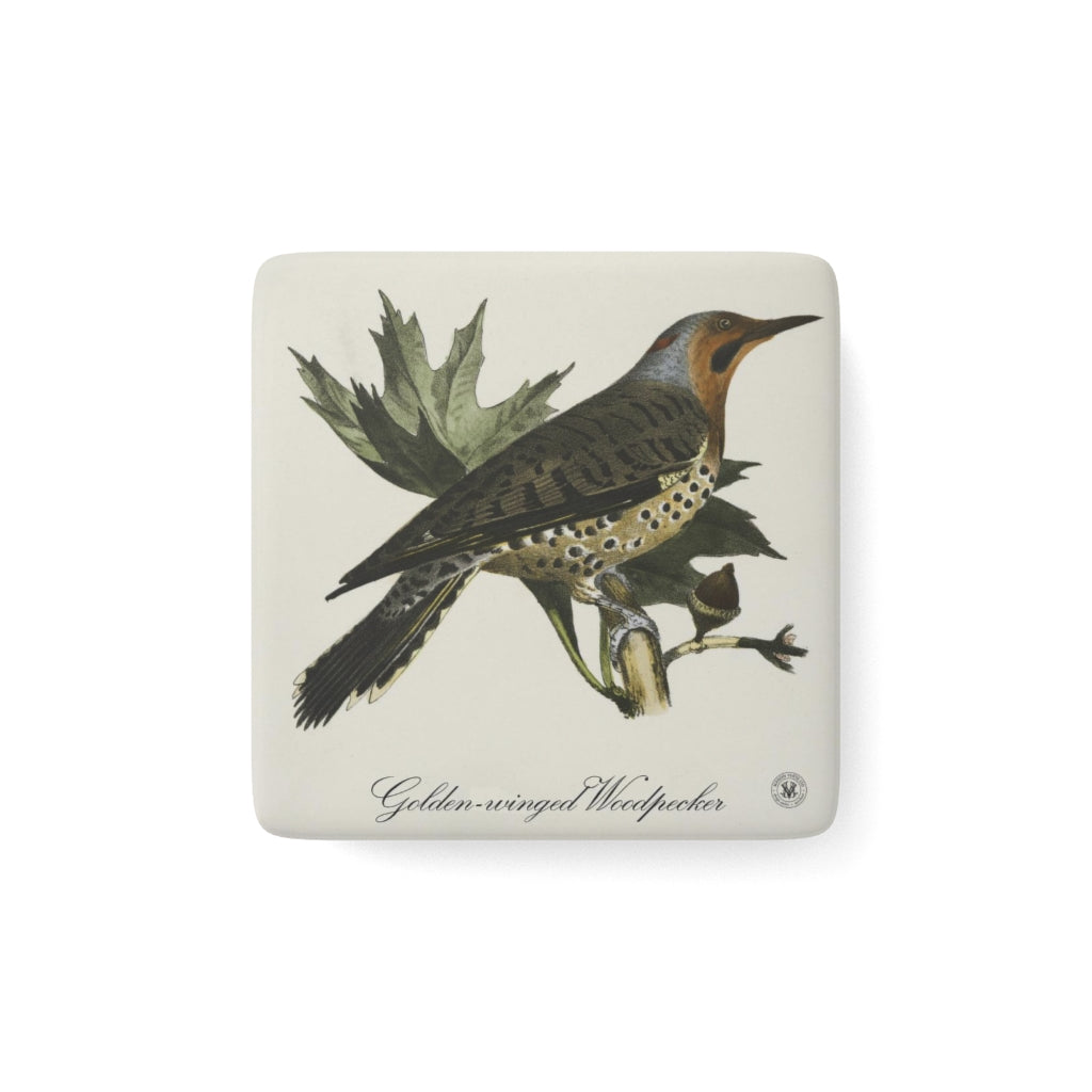 Golden-winged Woodpecker Avian Splendor Porcelain Square Magnet