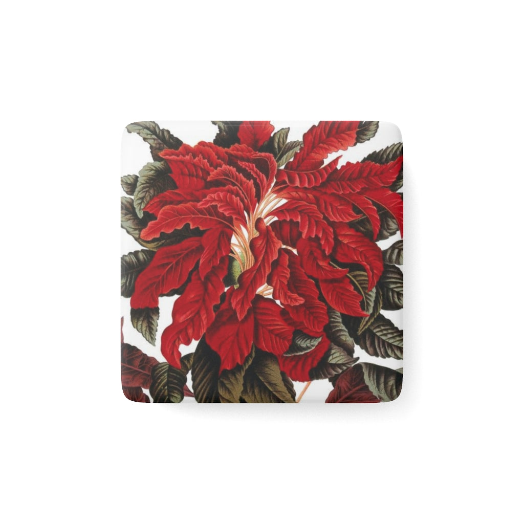 Amarantus Tricolor Verdant Porcelain Square Magnet