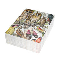 Load image into Gallery viewer, Classe des Oiseaux Avian Splendor Blank Greeting Card
