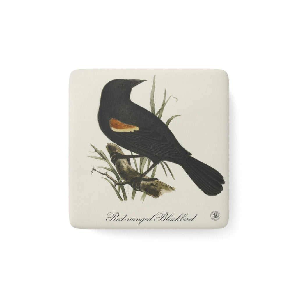 Red-winged Blackbird Avian Splendor Porcelain Square Magnet