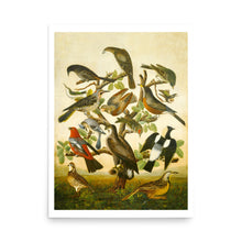 Load image into Gallery viewer, A Lovely Flock Avian Splendor Print

