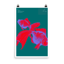 Load image into Gallery viewer, Pisces: The Stars Within Print
