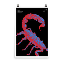 Load image into Gallery viewer, Scorpio: The Stars Within Print
