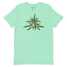 Load image into Gallery viewer, Cannabaceae Verdant Tshirt
