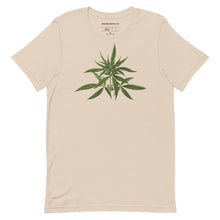 Load image into Gallery viewer, Cannabaceae Verdant Tshirt
