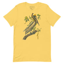 Load image into Gallery viewer, Brown Pelican Avian Splendor Tshirt
